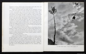 Les Histoires d’Amadou : L'Opinel, photo Suzi Pilet, texte Alexis Peiry, Lausanne, Editions du Cerf-Volant, 1951, n. p.
